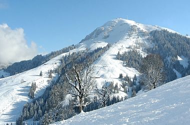 White Weeks