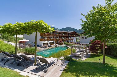 Subscribe to Newsletter