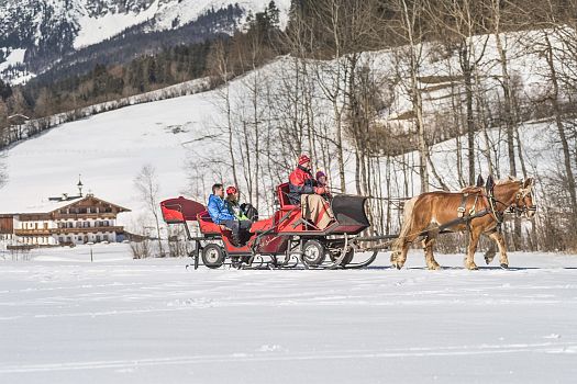 Horse-Drawn Sleigh