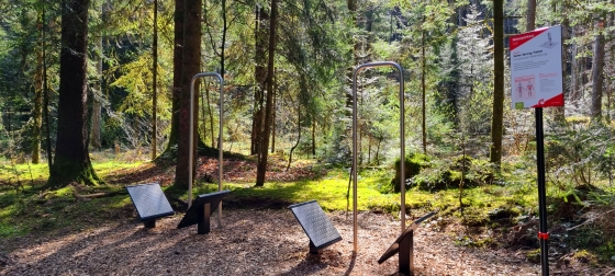 Slackline & Wackelbalken