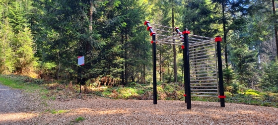 Bewegung & Balance
