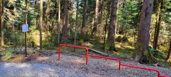 Kraftvoll und beweglich