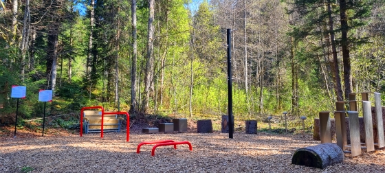 Seiten-Sprung-Trainer