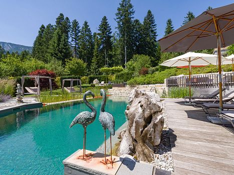 Relaxation & Wellness