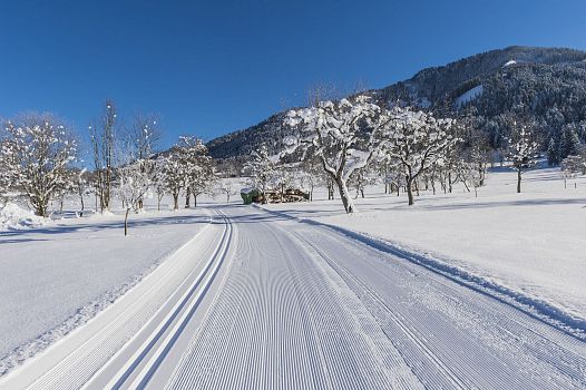 Schattseit Trail