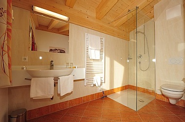 Alpen Apart Hofer bathrooms