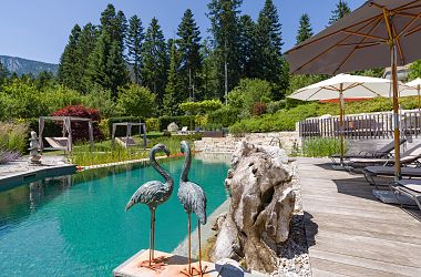 Natur Bio Pool - Naturbadeteich